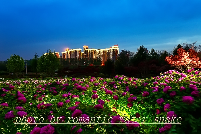 0_71842_d45ca2c55f73b74.jpg