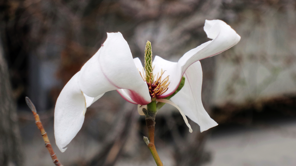 nEO_IMG_20150416_101158.jpg