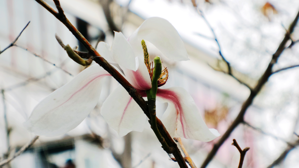 nEO_IMG_20150416_102501.jpg
