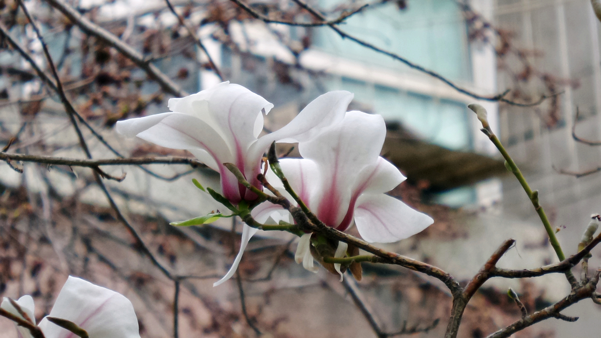 nEO_IMG_20150416_102553.jpg