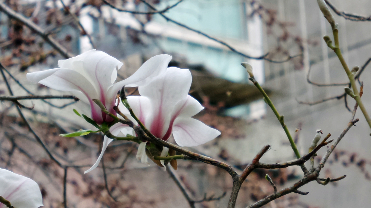 nEO_IMG_20150416_102559.jpg