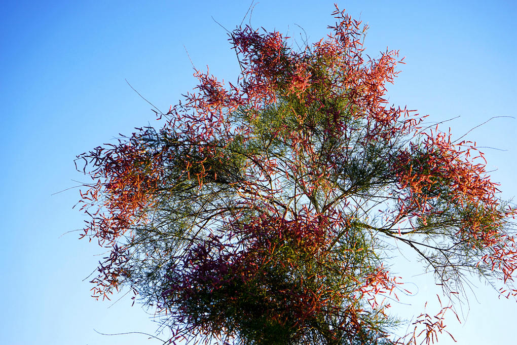 ʢڻҰڵĻ4.jpg