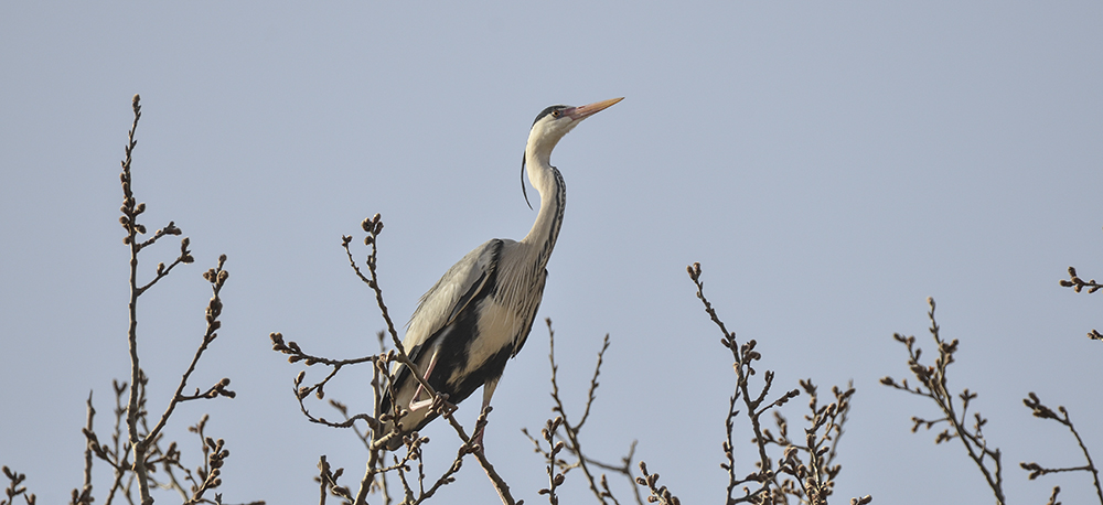 2015316ˮĥͷ a4591.jpg