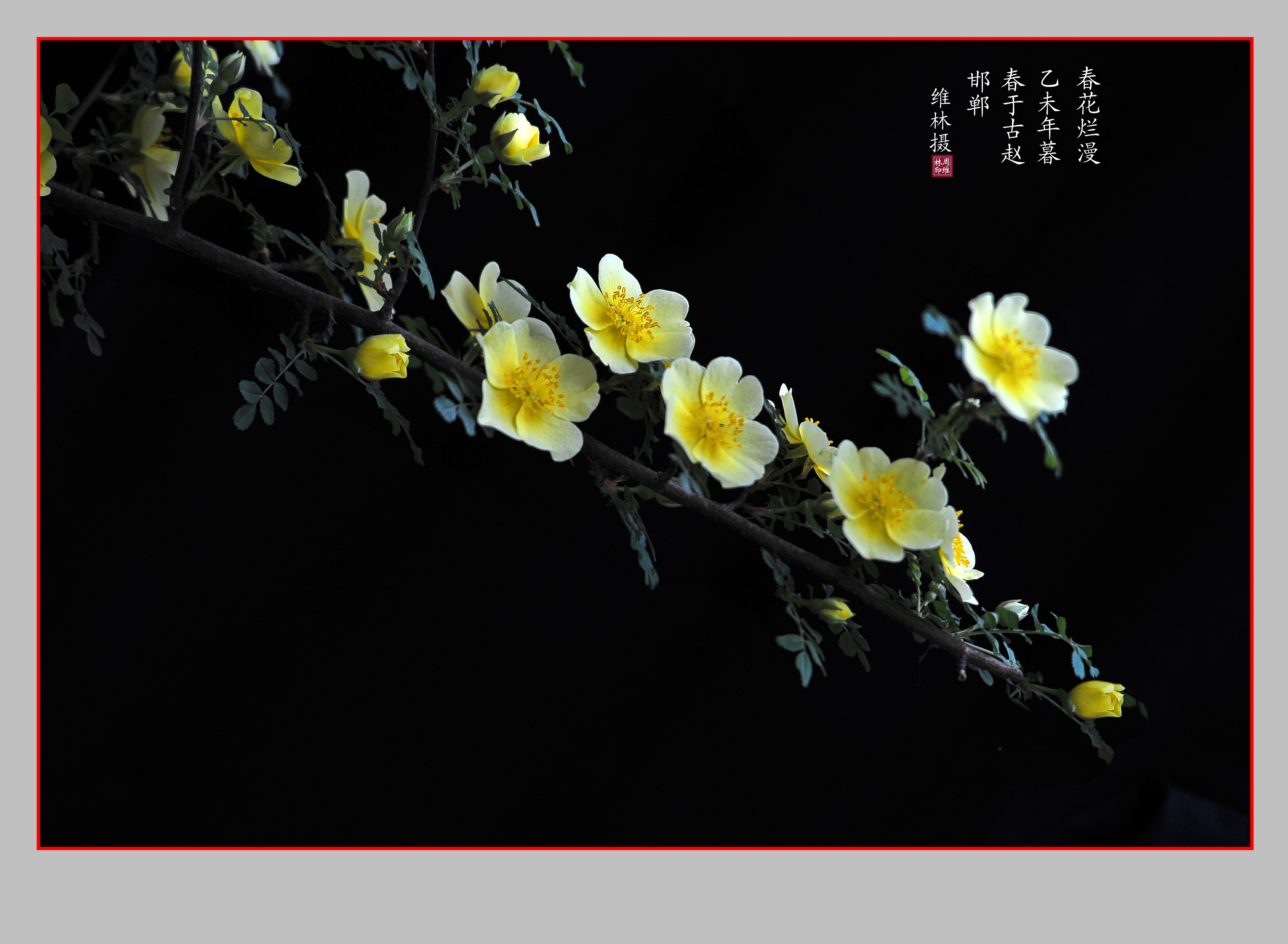 LQY_2641.JPG