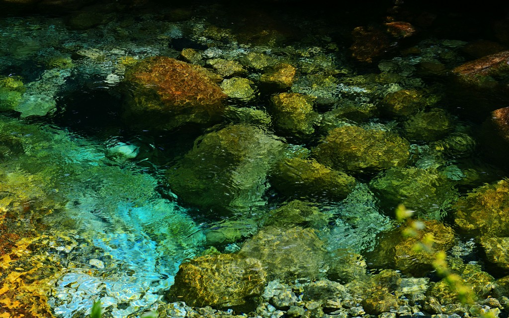 _DSC9097 (8).jpg