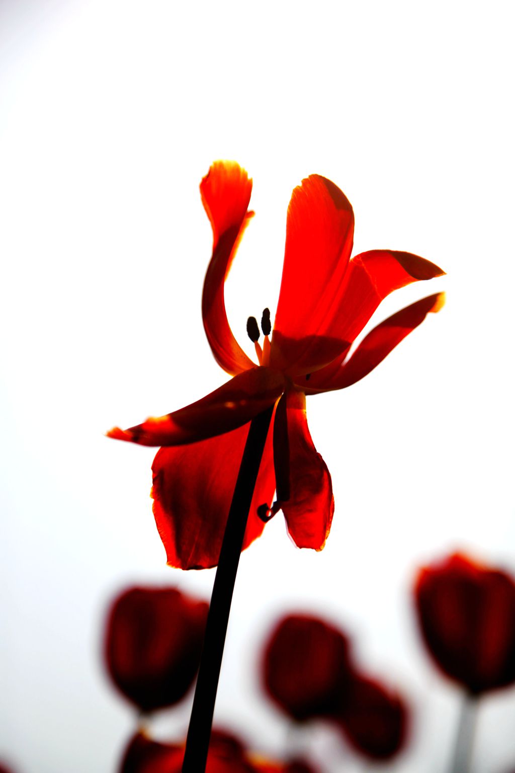 IMG_4560__.jpg