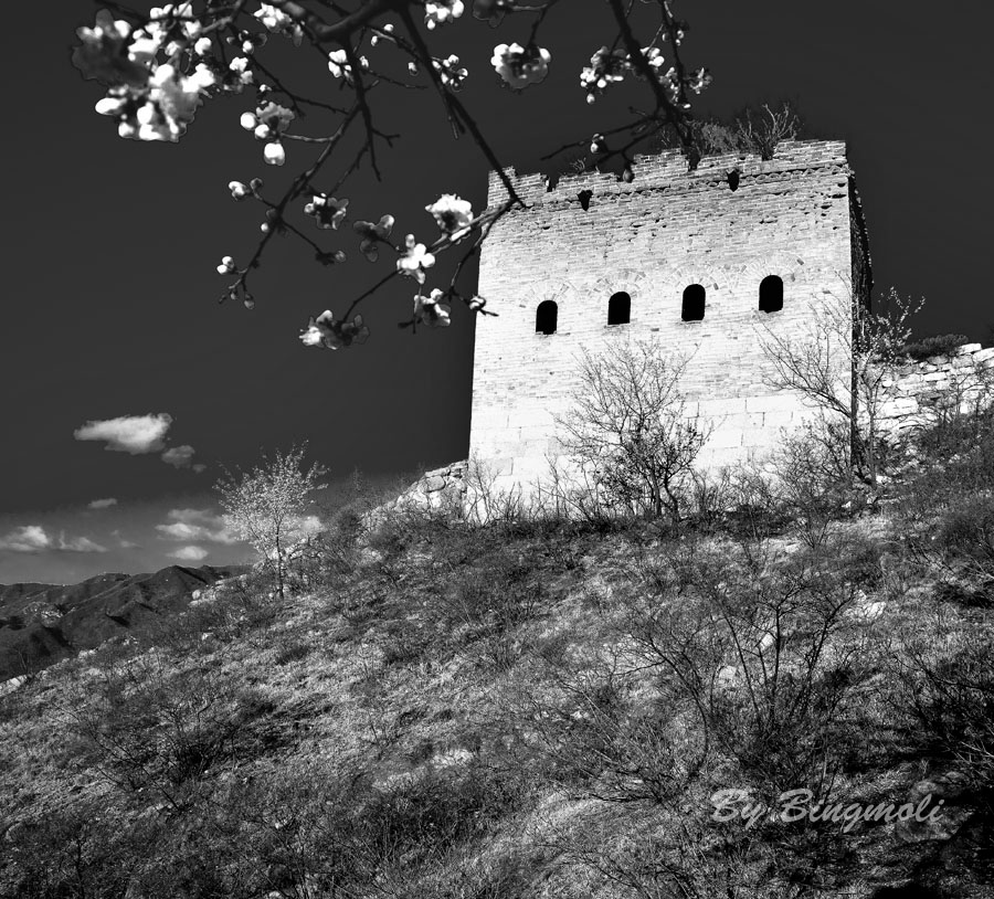 _MG_5963.jpg