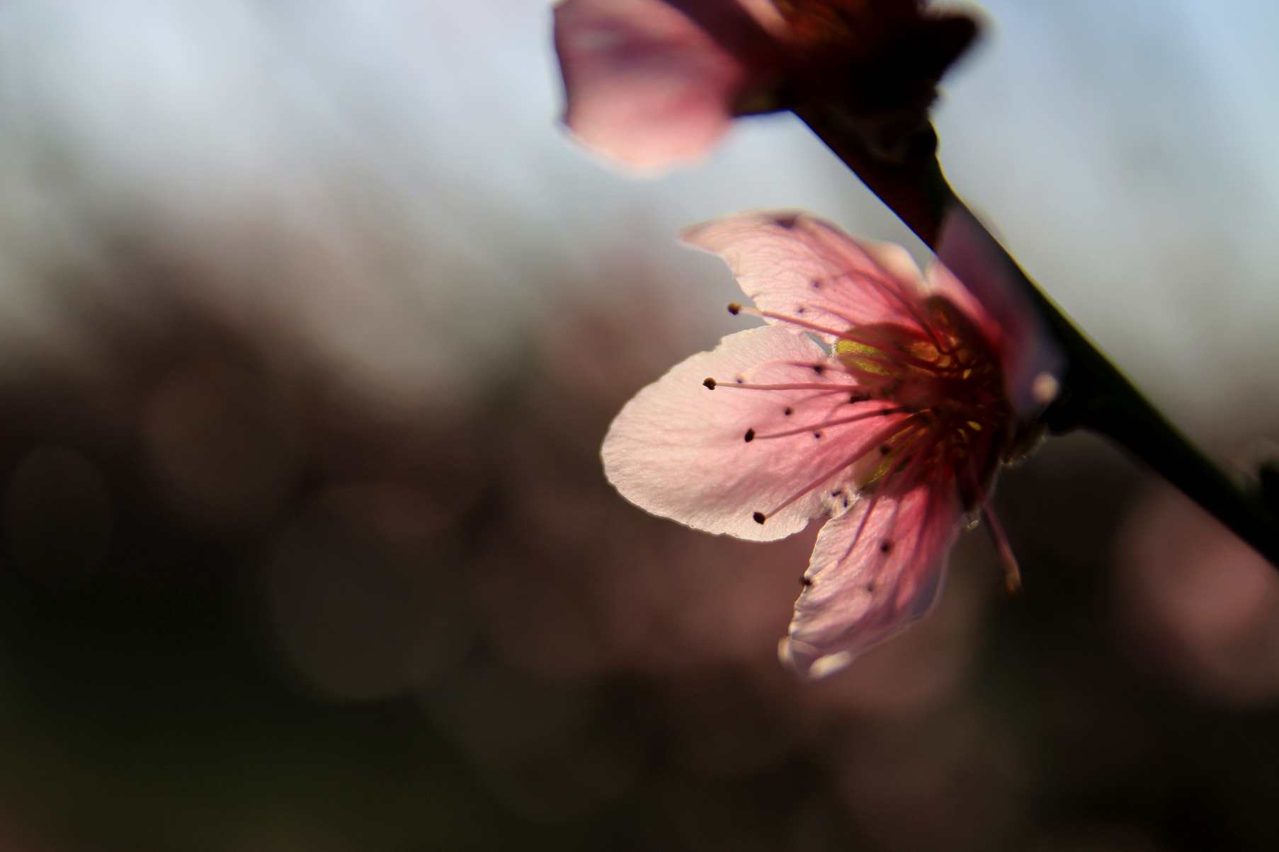 IMG_0669_.jpg