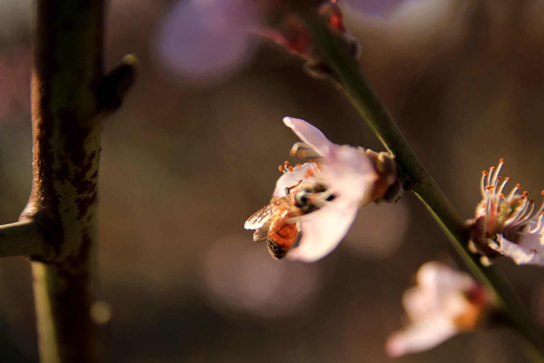 IMG_0670_.jpg