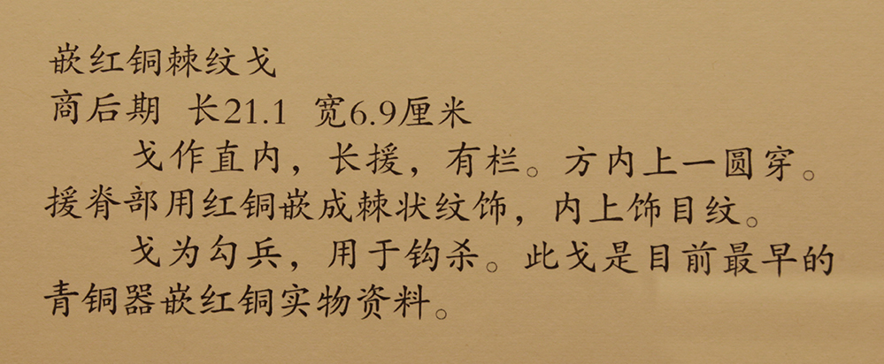 IMGL5968.jpg