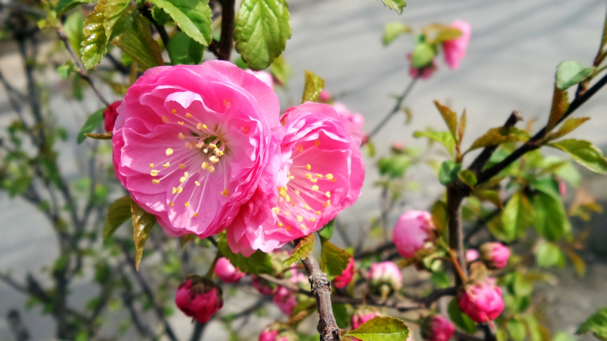 nEO_IMG_20150420_114035.jpg