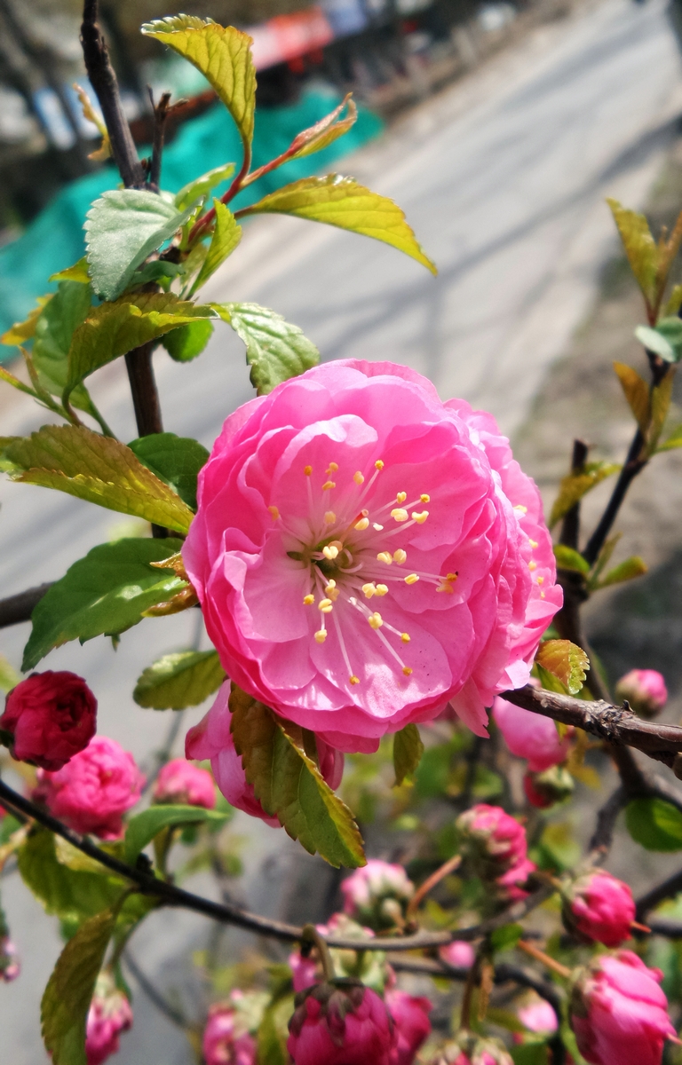 nEO_IMG_20150420_114119.jpg