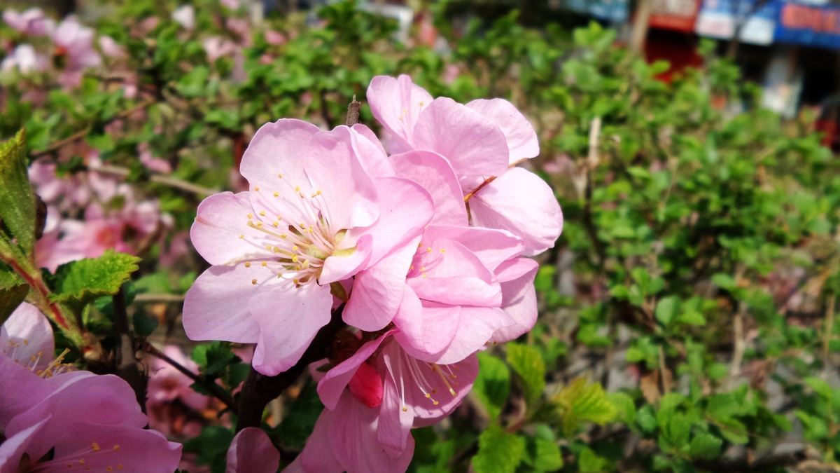 nEO_IMG_20150420_114843.jpg