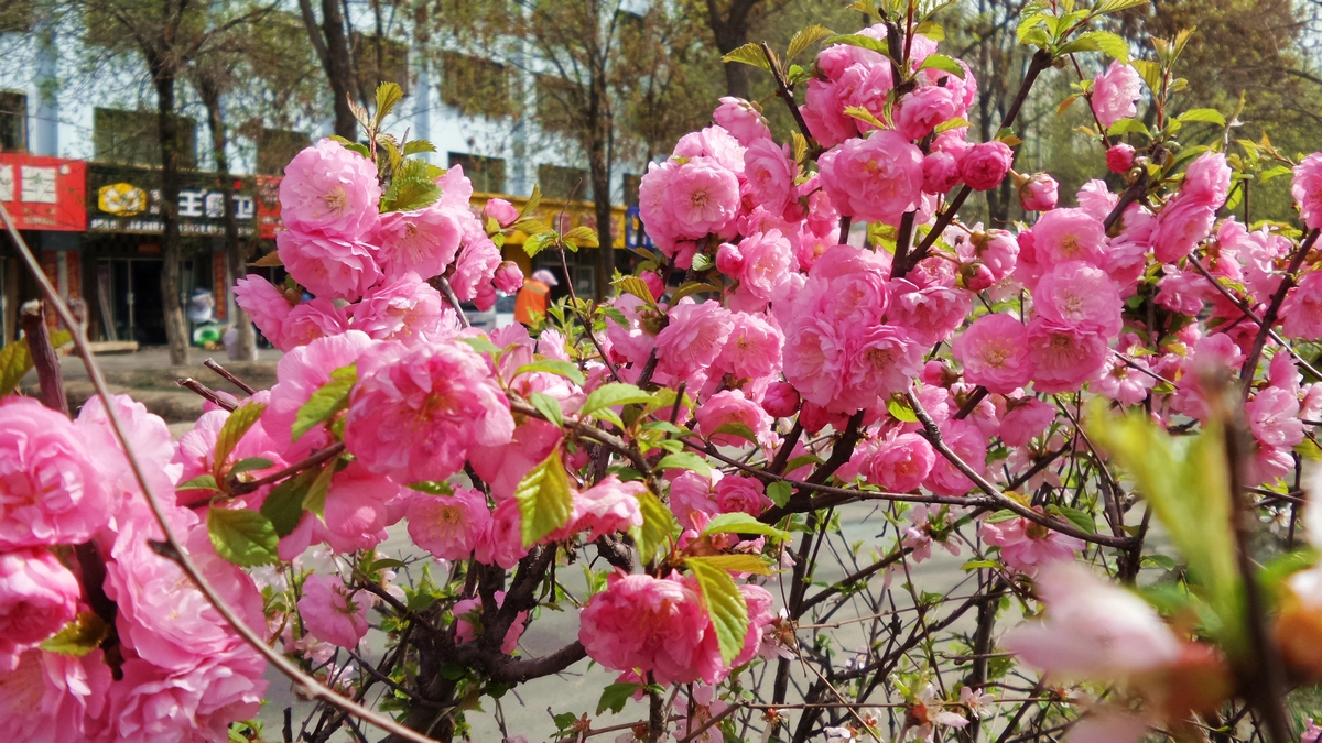 nEO_IMG_20150420_115223.jpg