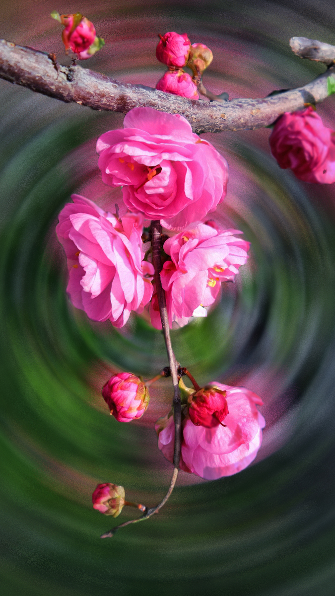 nEO_IMG_20150420_120634.jpg