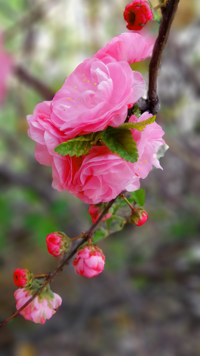 nEO_IMG_20150420_120549.jpg