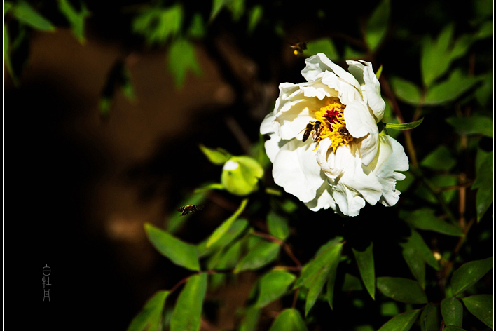 308A2457_.jpg