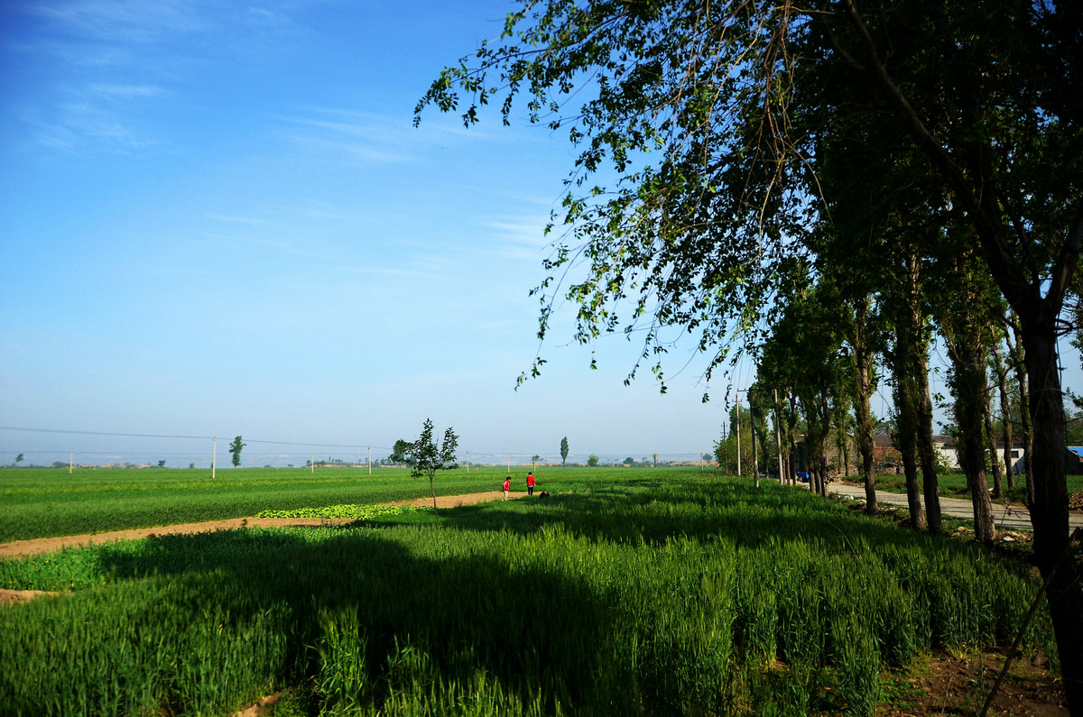 DSC_1042.JPG