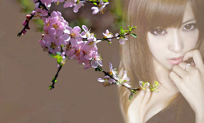 DSC_0419--c.jpg