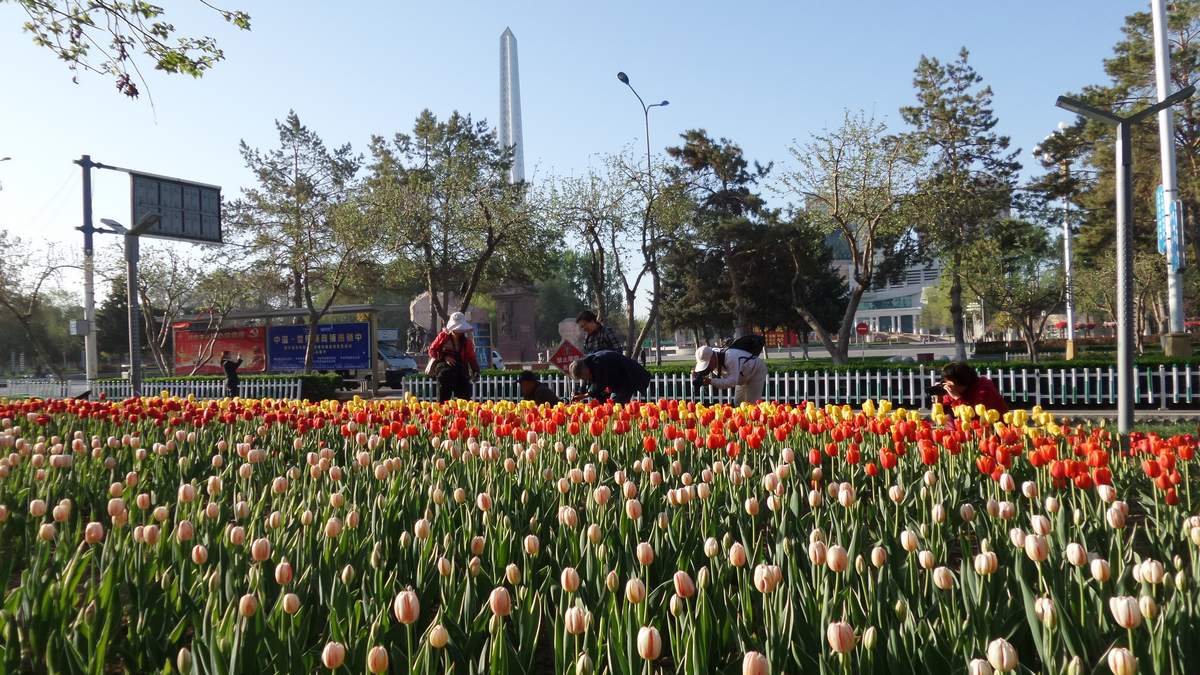 nEO_IMG_20150423_085430.jpg
