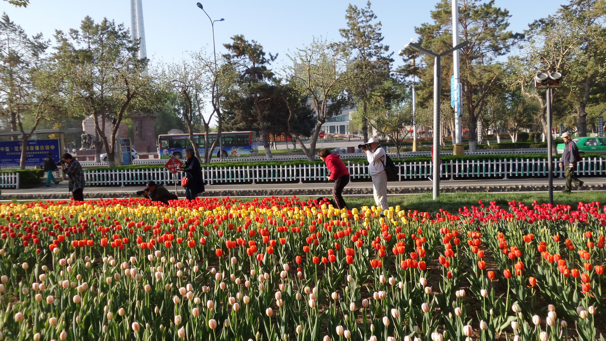 nEO_IMG_20150423_085633.jpg