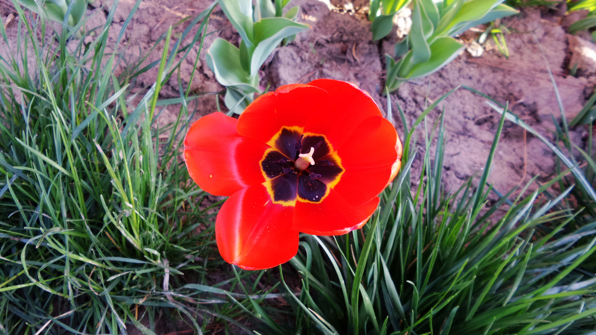nEO_IMG_20150423_092300.jpg