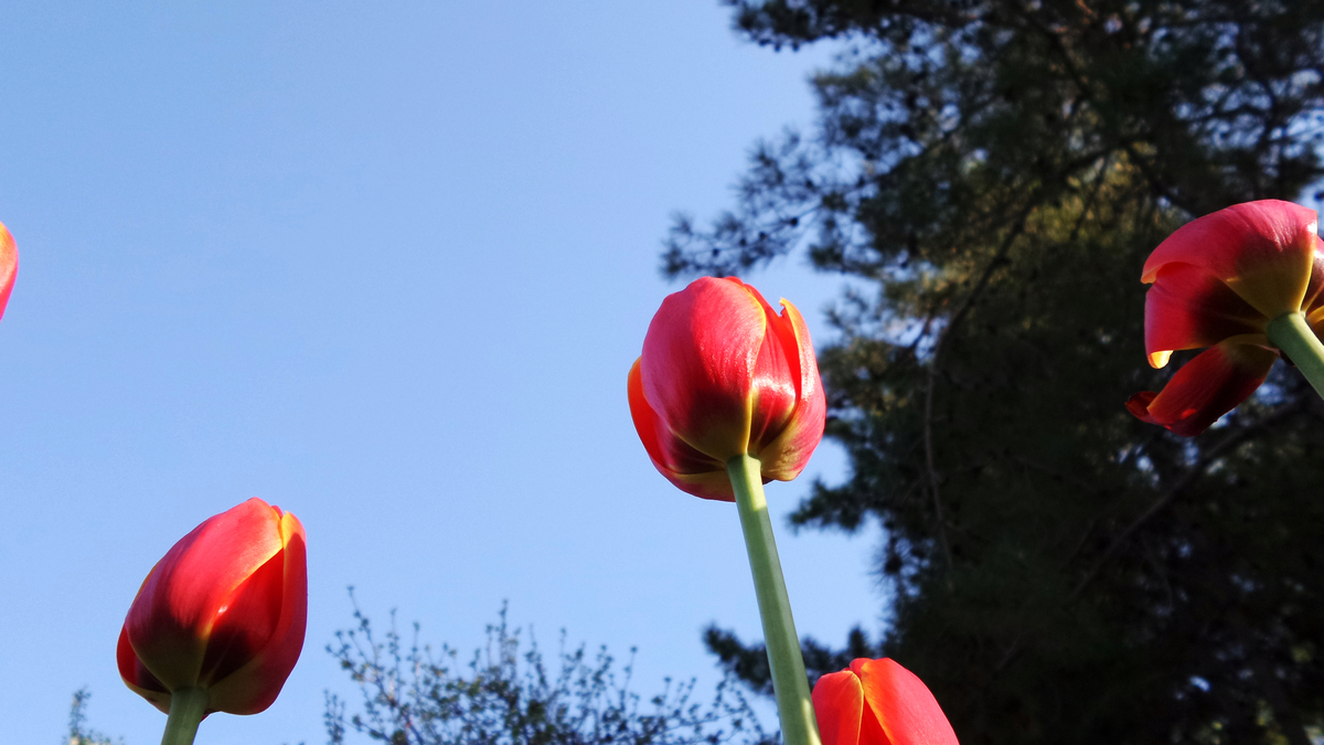 nEO_IMG_20150423_093321.jpg