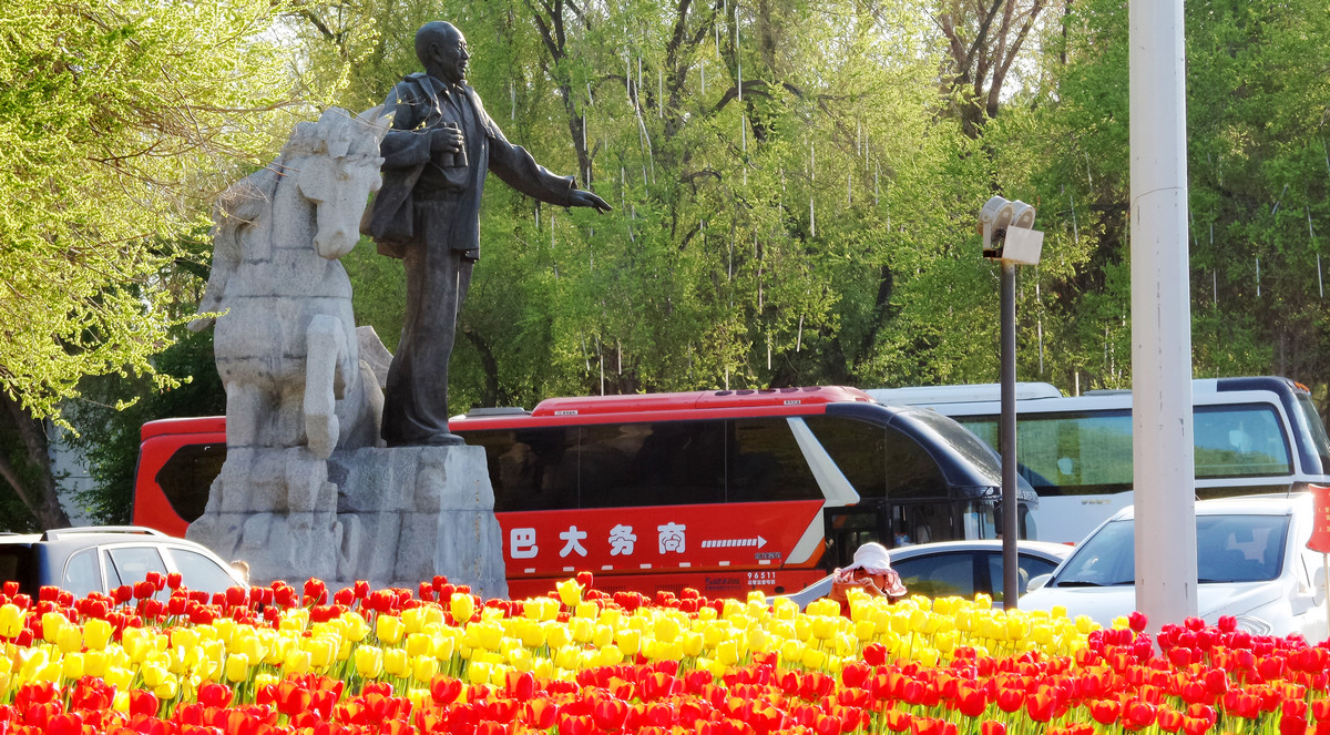 20150423_091309 -  - .jpg