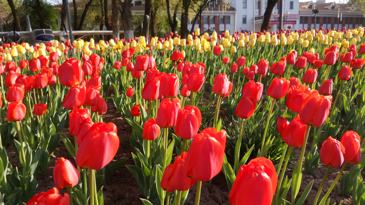 nEO_IMG_20150423_084621 - .jpg