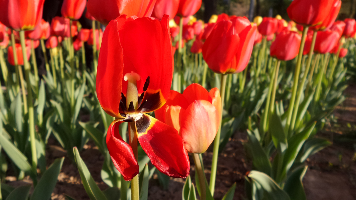 nEO_IMG_20150423_085113.jpg