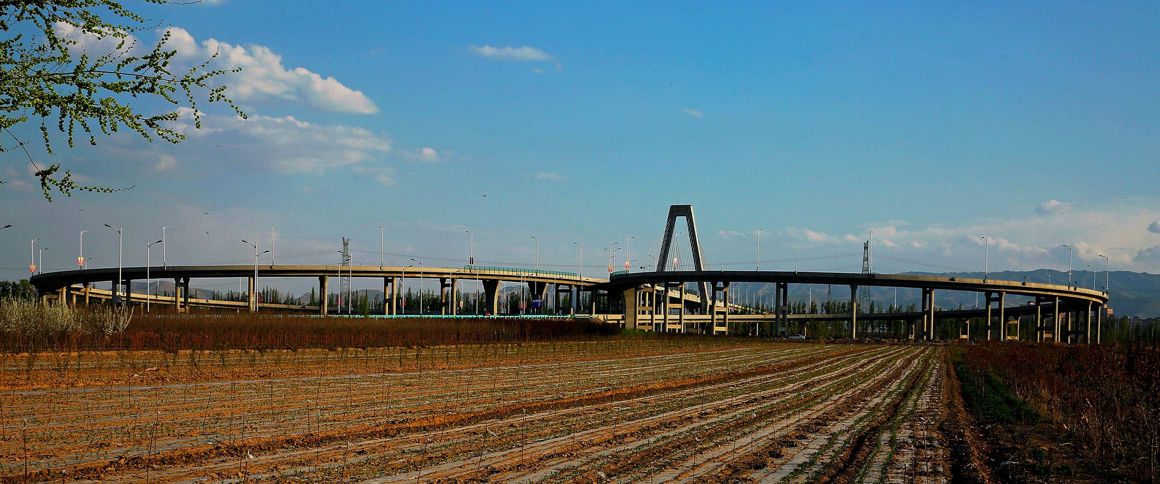 DH6A8197.jpg