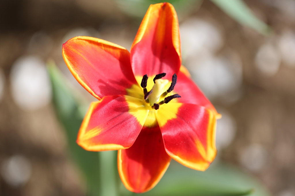 050C8943_.jpg