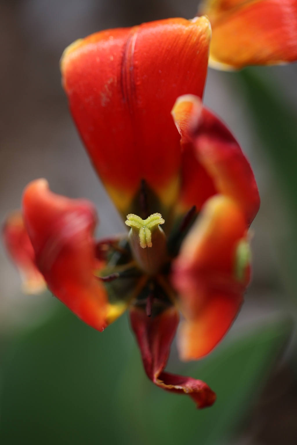 050C8952_.jpg