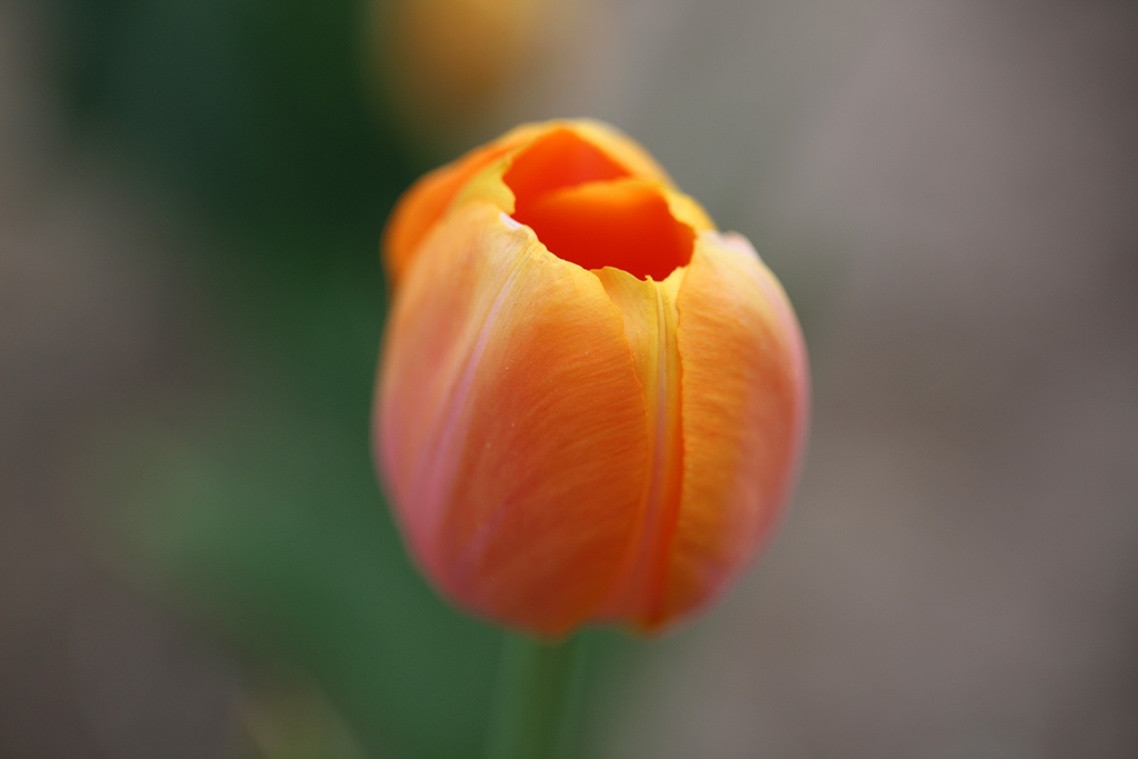 050C8954_.jpg