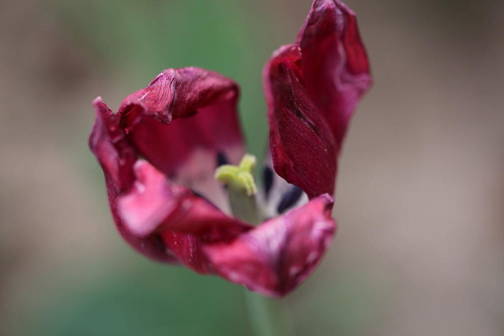 050C8956_.jpg