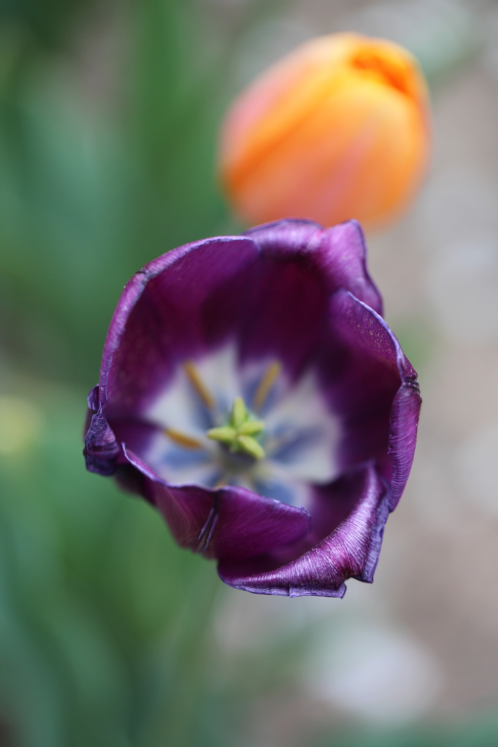 050C8958_.jpg