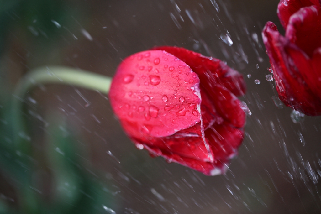 050C8978_.jpg