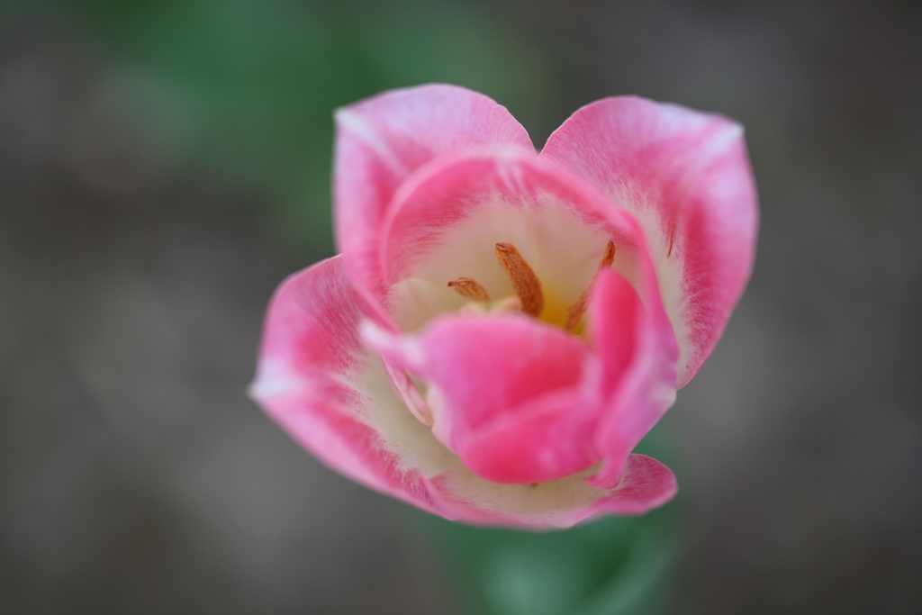 050C9001_.jpg