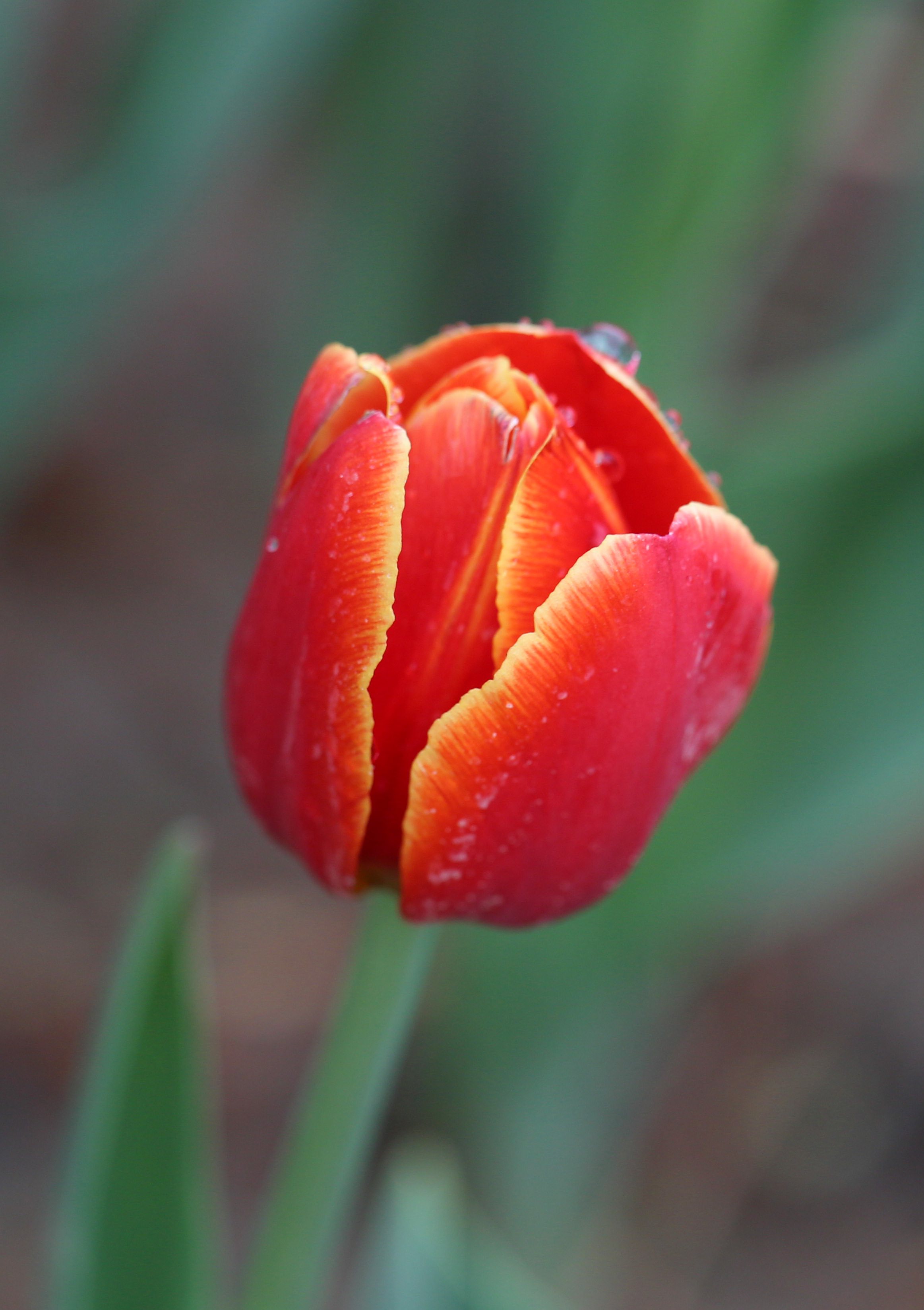 050C9018_.jpg