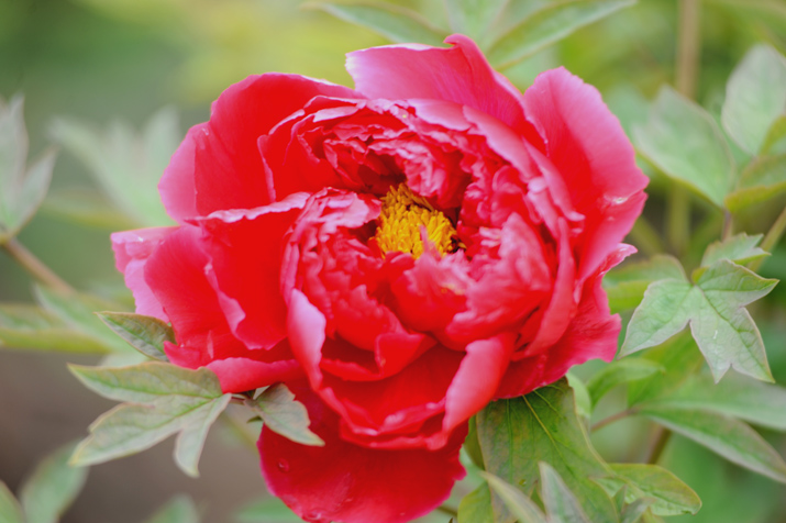 DSC_4150.jpg