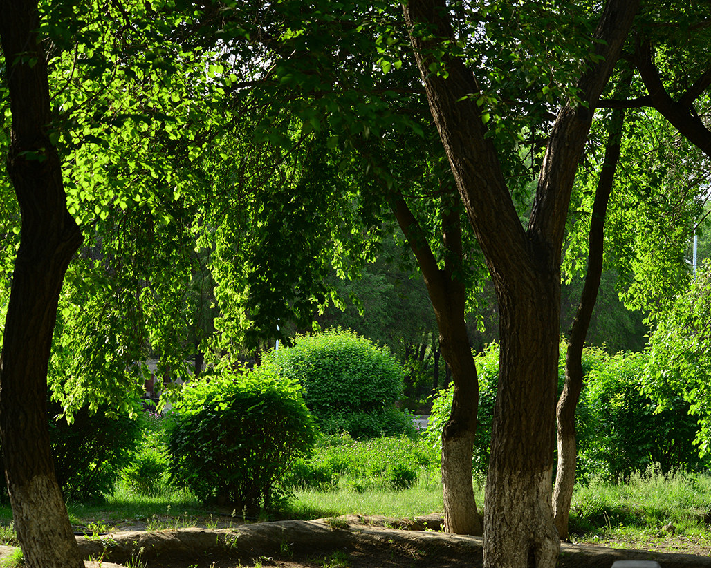 DSC_1504.JPG