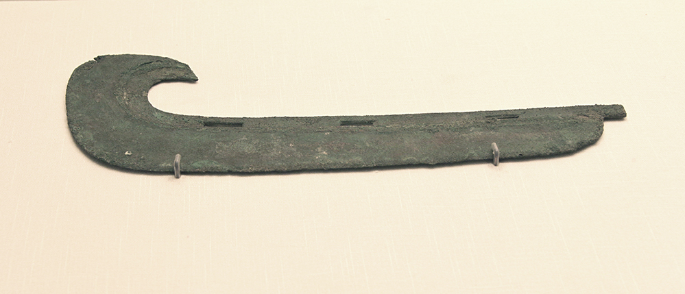 IMGL5982.jpg