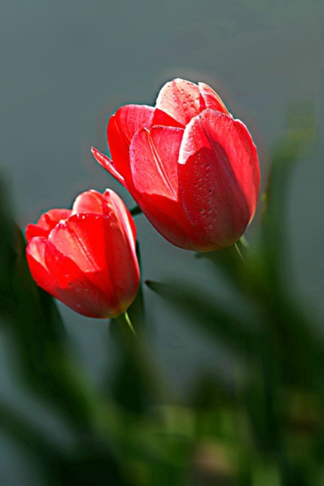 IMG_8750.jpg