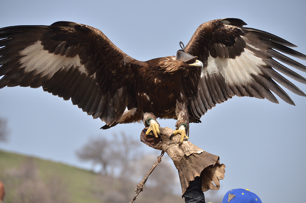 DSC_4206.JPG