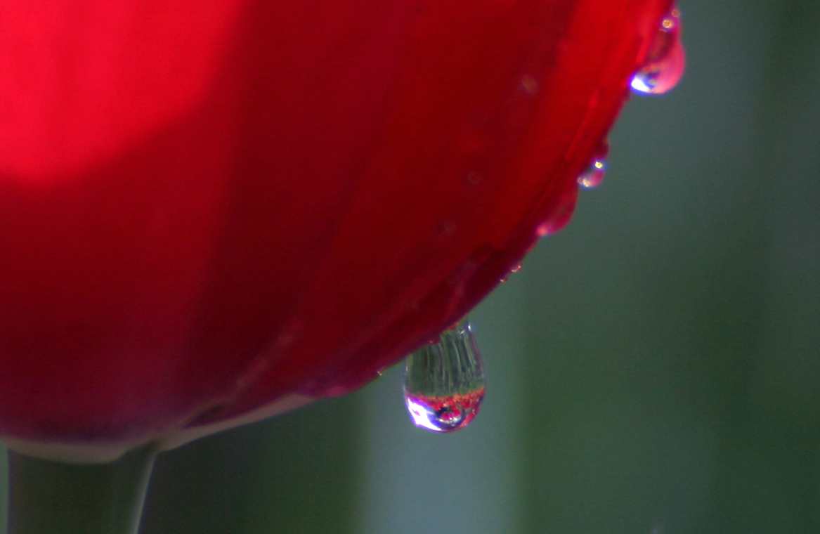 IMG_3366_.jpg