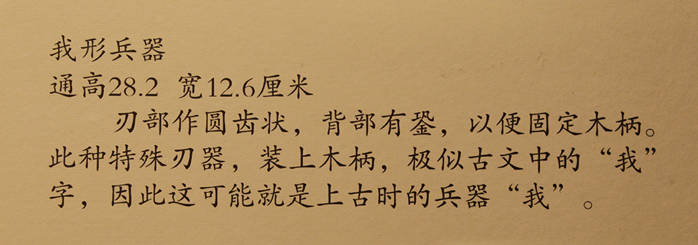 IMGL5994.jpg