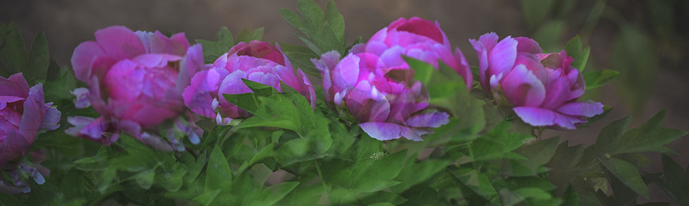 2015427չ԰ a0641.jpg