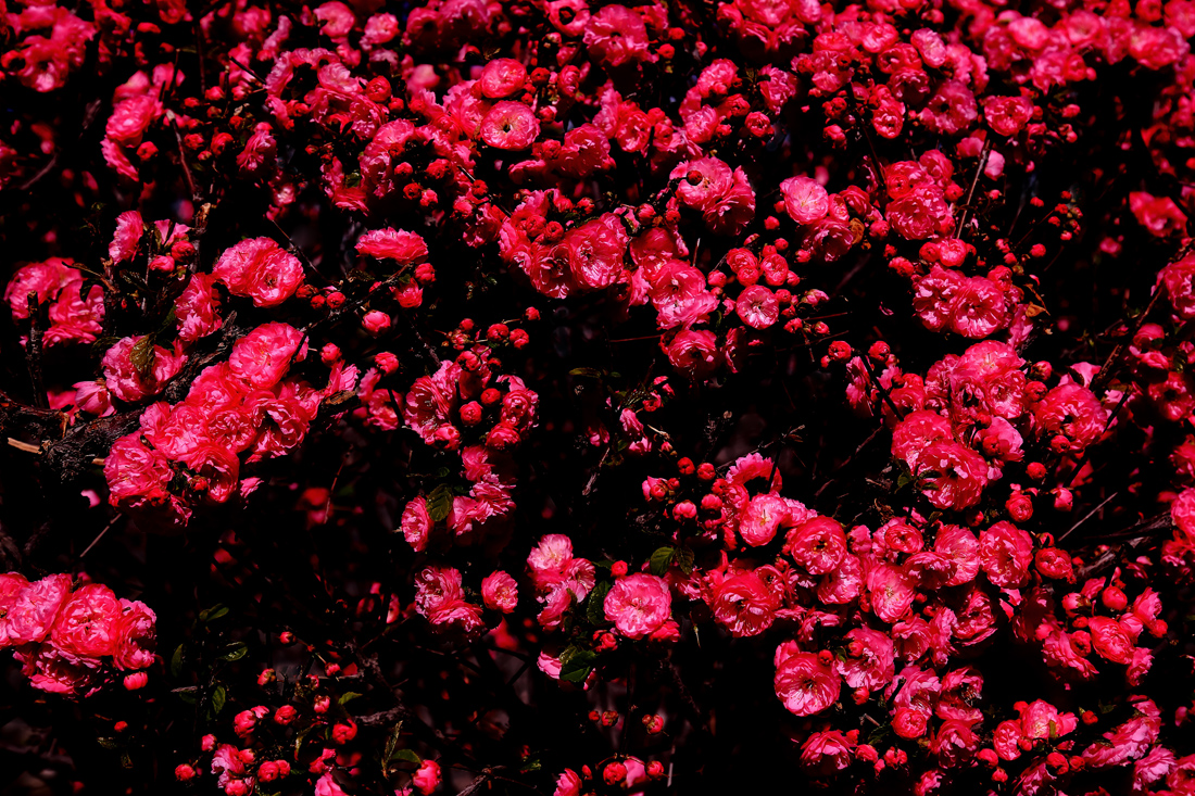 ̤Ʒ÷ (10).jpg