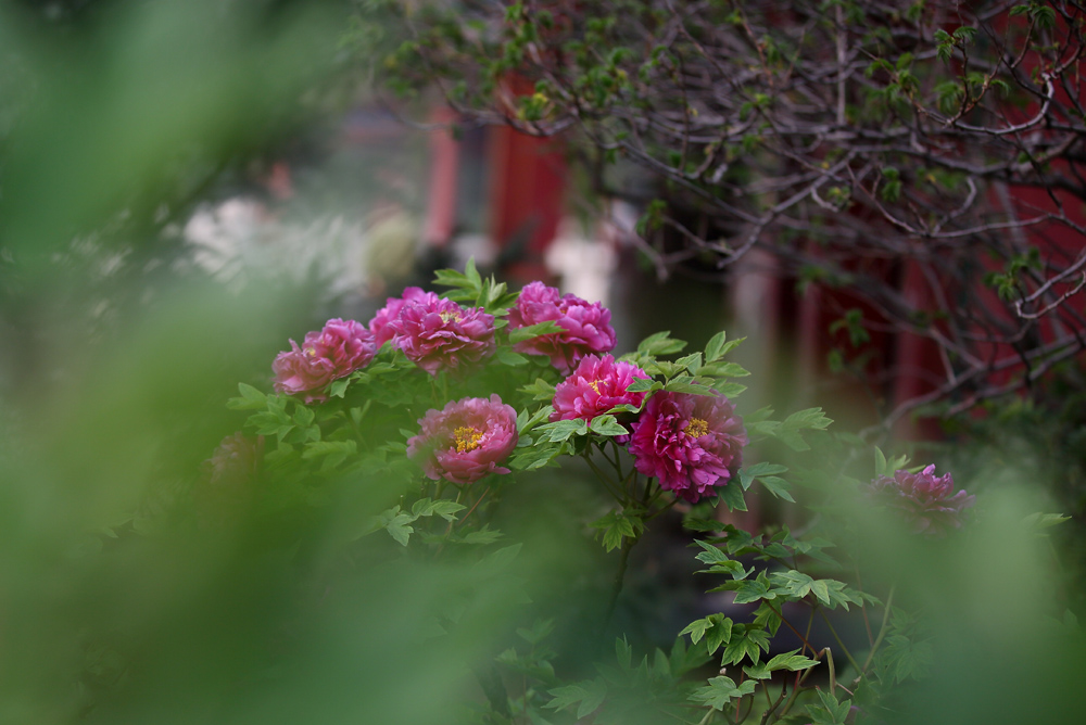 7U2A0043.JPG