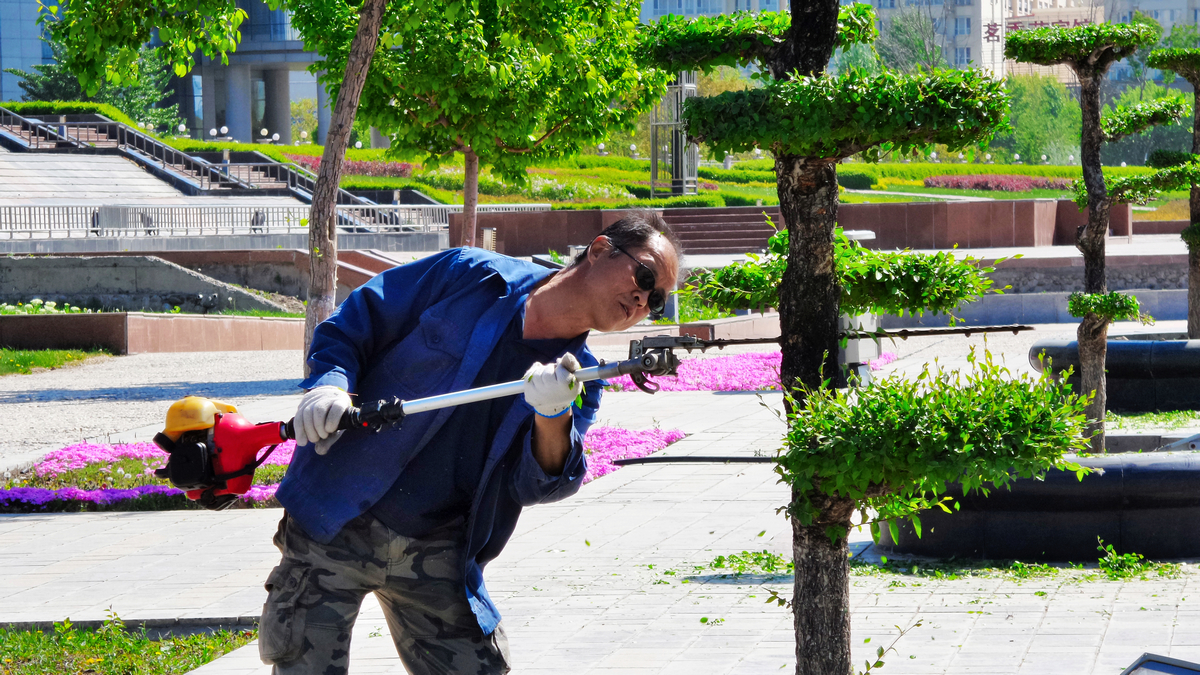 nEO_IMG_20150501_114436.jpg